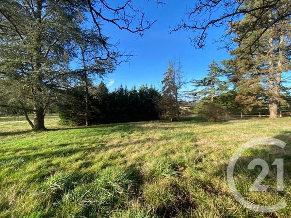 Terrain à vendre  1715 m 2   LAUNAGUET  - 31