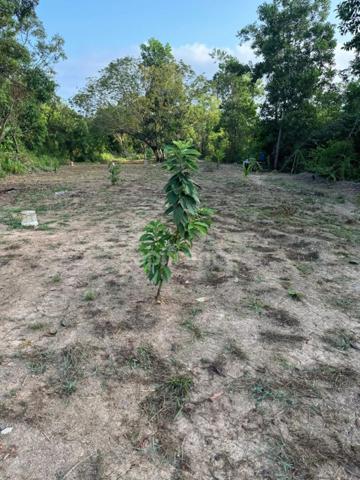 Maison à vendre 3 pièces MACOURIA (973)