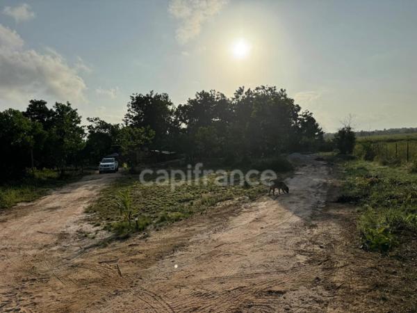 Maison à vendre 3 pièces MACOURIA (973)