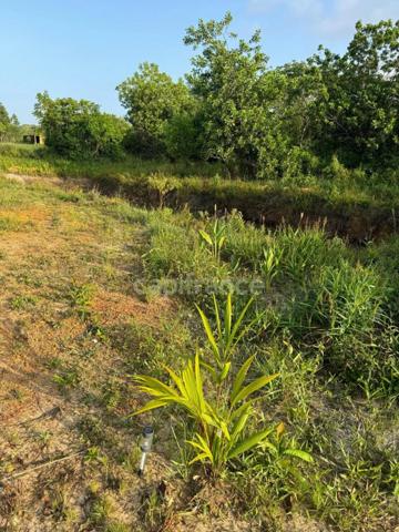 Maison à vendre 3 pièces MACOURIA (973)