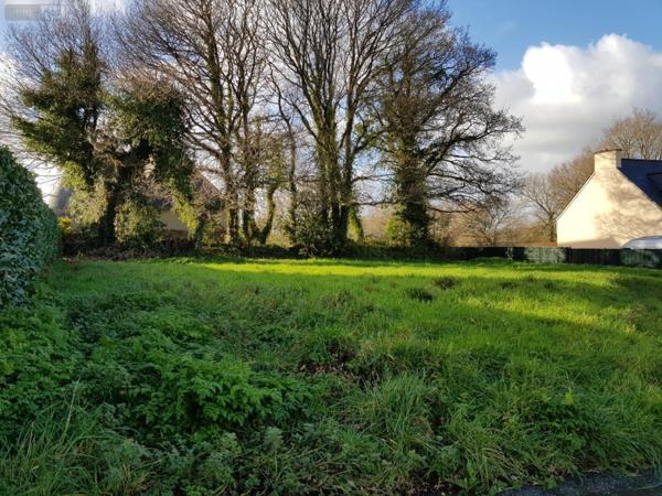 Terrain à Batir à vendre à Carhaix-Plouguer dans le Finistère (29270), ref : TABCA16