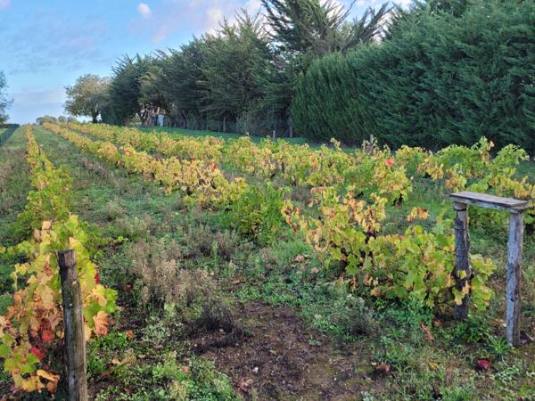 Saint-Aubin-la-Plaine (85210) Terrain constructible hors lotissement à viabiliser