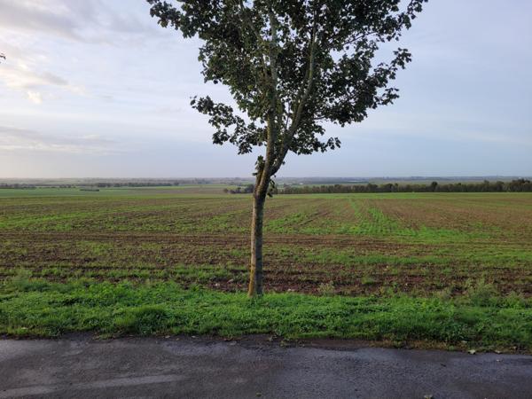 Saint-Aubin-la-Plaine (85210) Terrain constructible hors lotissement à viabiliser