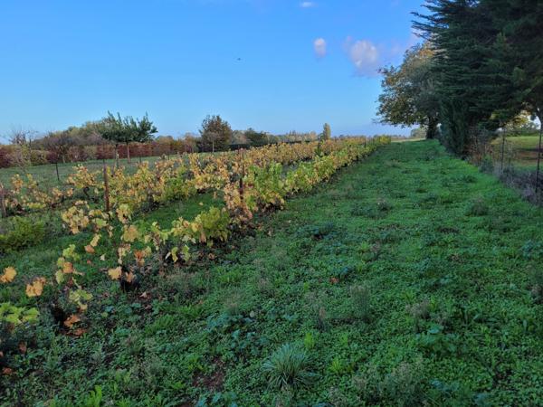 Saint-Aubin-la-Plaine (85210) Terrain constructible hors lotissement à viabiliser
