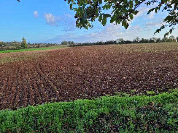 Saint-Aubin-la-Plaine (85210) Terrain constructible hors lotissement à viabiliser