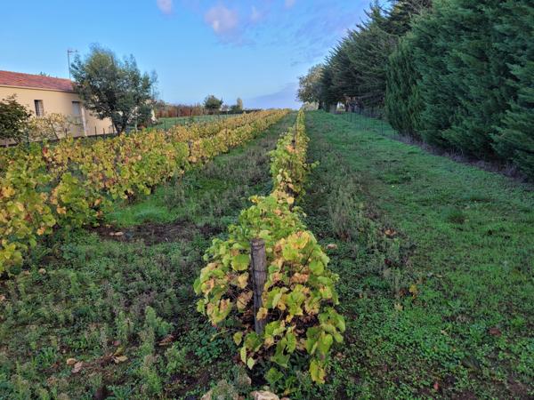 Saint-Aubin-la-Plaine (85210) Terrain constructible hors lotissement à viabiliser