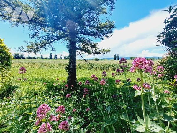 PUY SAINT MARTIN, ancienne ferme de 154m² habitable sur 1 hectare de parcelle.