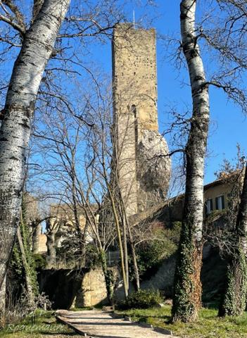 Dpt Gard (30), à vendre ROQUEMAURE maison de 73,94 m²