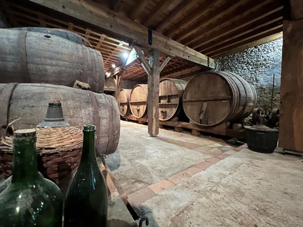 A vendre Demeure de prestige Villeneuve De Marsan - Mont de Marsan - 6 chambres parc arboré piscine