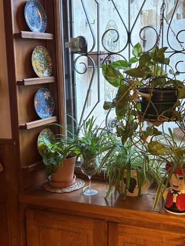 A vendre Demeure de prestige Villeneuve De Marsan - Mont de Marsan - 6 chambres parc arboré piscine