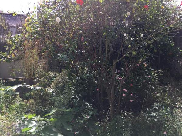 ACHAT : APPARTEMENT T4 - Janze - Ille-et-Vilaine (35)