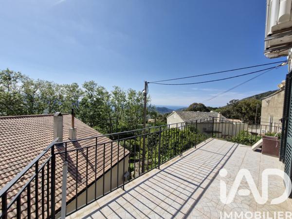 Appartement à vendre 4 pièces 65 m² Patrimonio