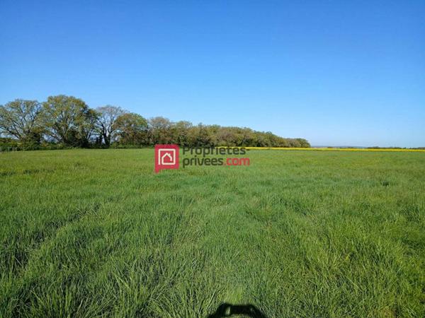 Maison Chinon 5 pièce(s) 190 m2