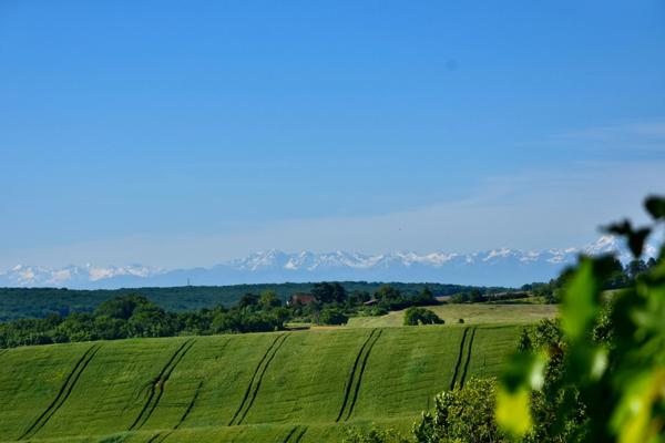 Dpt Gers (32), à vendre BAZIAN propriété P12 de 430 m² avec piscine et terrain de tennis - Terrain de 1,60 Ha
