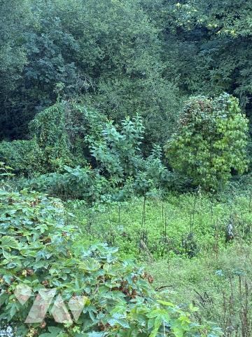 Une propriété rurale