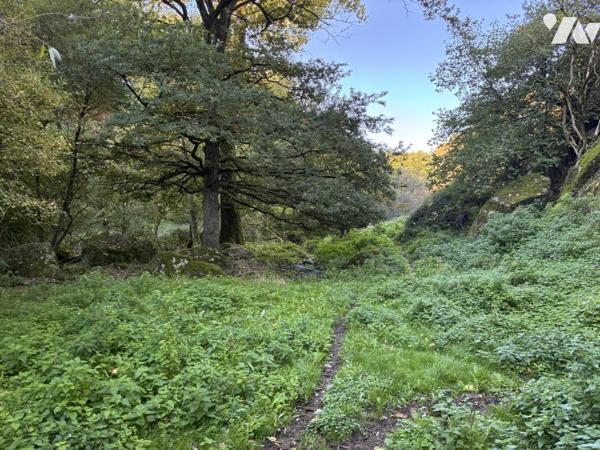 Une propriété rurale