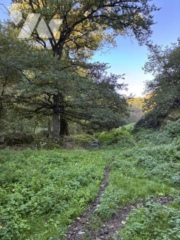 Une propriété rurale
