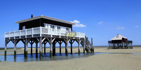 Vente appartement Arcachon : 748 000 € - AJP ACTEA Talence