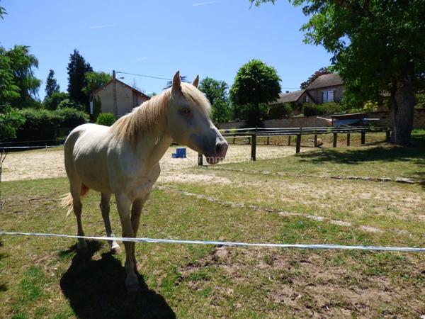 Vente Propriété 8 pièces 133 m2 à Semur-en-Auxois