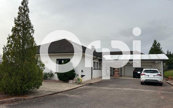 Maison à vendre    5 pièces •  Saint-Dié-des-Vosges