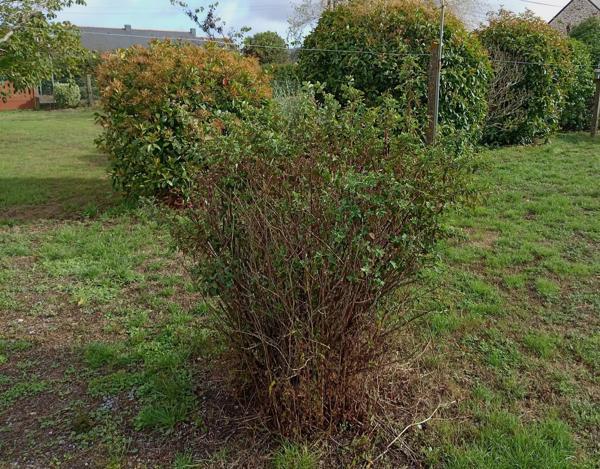 TERRAINS CONSTRUCTIBLES A MESANGER