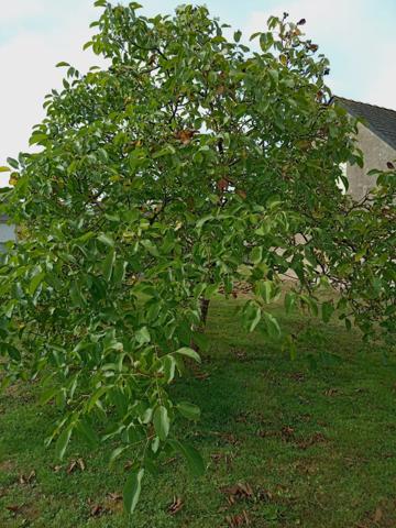 TERRAINS CONSTRUCTIBLES A MESANGER