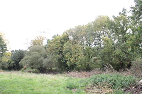 Exclusivité !! 22940 Plaintel. Dépendance en pierre à usage d'habitation, grand terrain