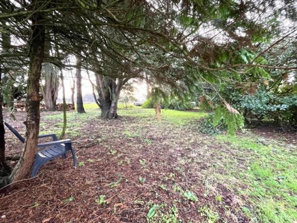 Maison à rénover avec 1 hectare de terrain