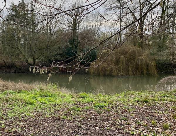 Maison de charme à rénover