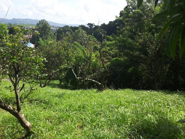 Terrain LOT 7 à Redoute Fort de france