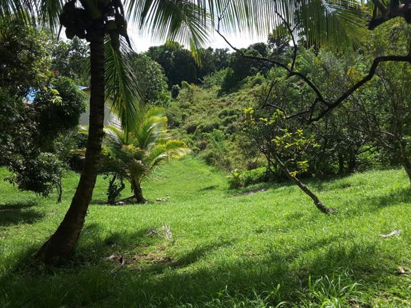 Terrain LOT 7 à Redoute Fort de france