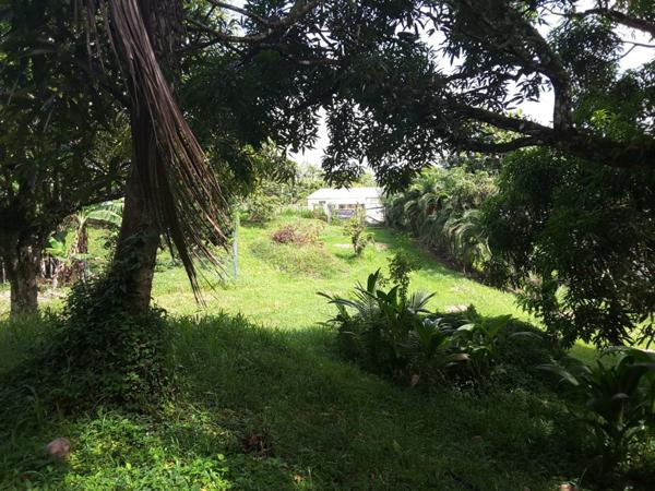 Terrain LOT 7 à Redoute Fort de france