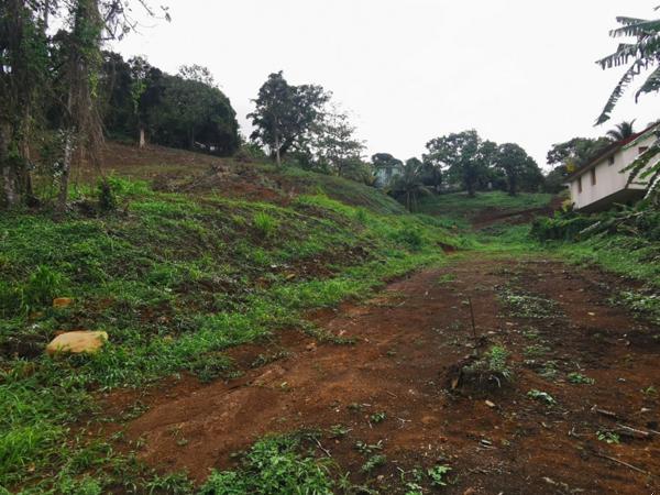 Terrain LOT 7 à Redoute Fort de france