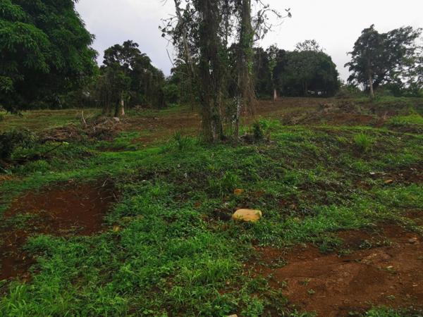 Terrain LOT 7 à Redoute Fort de france