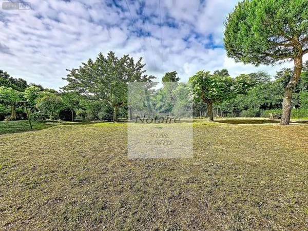 Achat - Maison | Maison Les Billaux 33500 6 pièces 120 m 2 1356 m 2