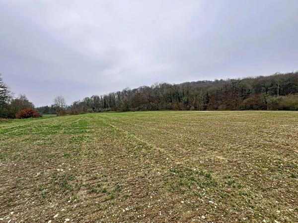 Vente Terrain 16645 m2 à Festieux