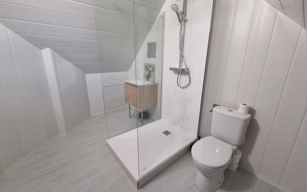 Maison à vendre    7 pièces •  Nogent-l'Artaud