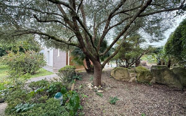 Maison à vendre    6 pièces •  Saint-Palais-sur-Mer