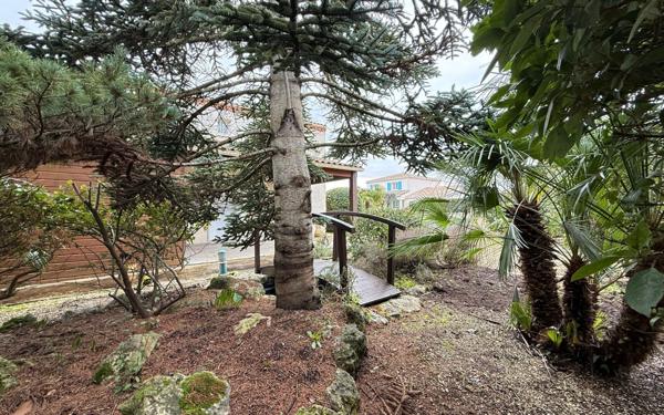 Maison à vendre    6 pièces •  Saint-Palais-sur-Mer