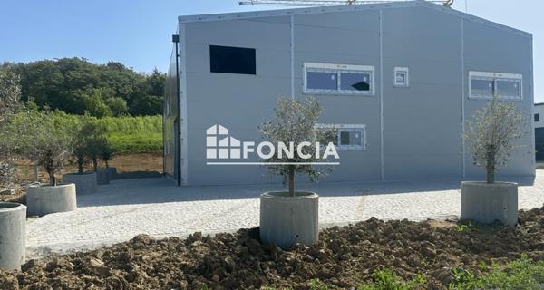 À vendre Local commercial 486 m² - Grisolles 82170