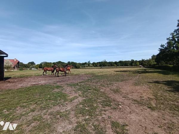 Vente Maison à Mézidon Vallée d'Auge