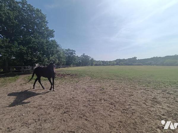 Vente Maison à Mézidon Vallée d'Auge