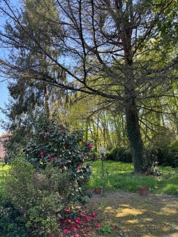 Maison à Yvrac  de 5 pièces de 99 m²  - Sous-sol - Terrain de 1453 m²