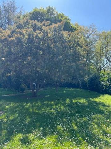 Maison à Yvrac  de 5 pièces de 99 m²  - Sous-sol - Terrain de 1453 m²