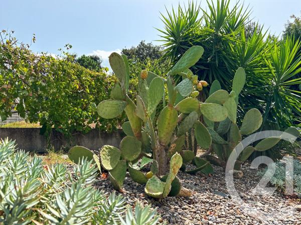 Maison à vendre  3 pièces - 50 m2 OLETTA - 202