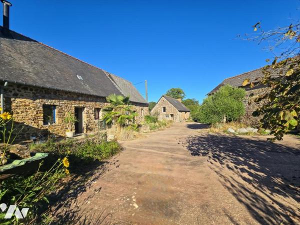 A VENDRE - MAISON EN PIERRES ET DEPENDANCES - LAUNAY-VILLIERS