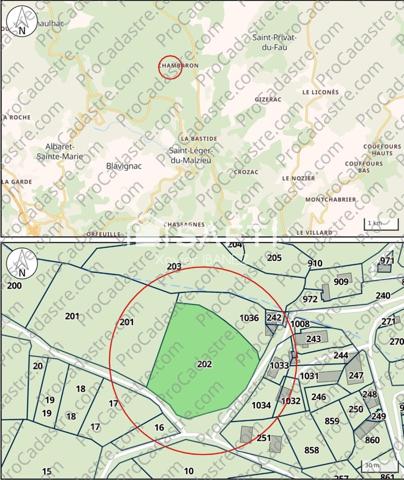 Terrain Constructible 5180 m² Saint-Léger-du-Malzieu (48140)