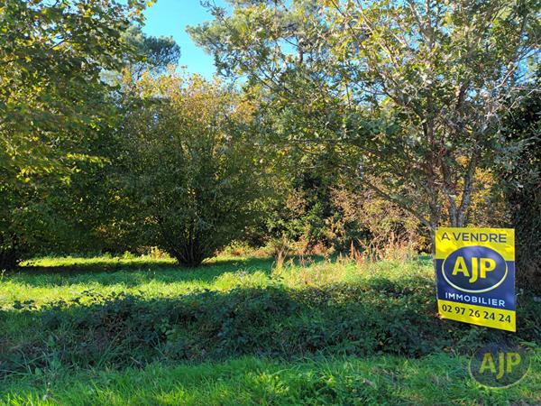 Vente terrain Questembert : 87 000 € - AJP Immobilier Questembert