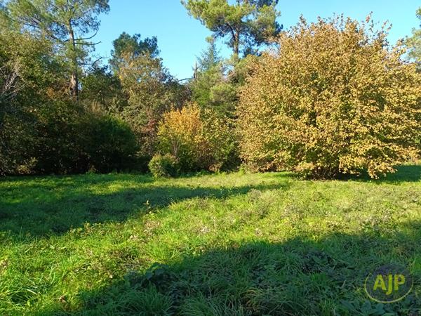 Vente terrain Questembert : 87 000 € - AJP Immobilier Questembert