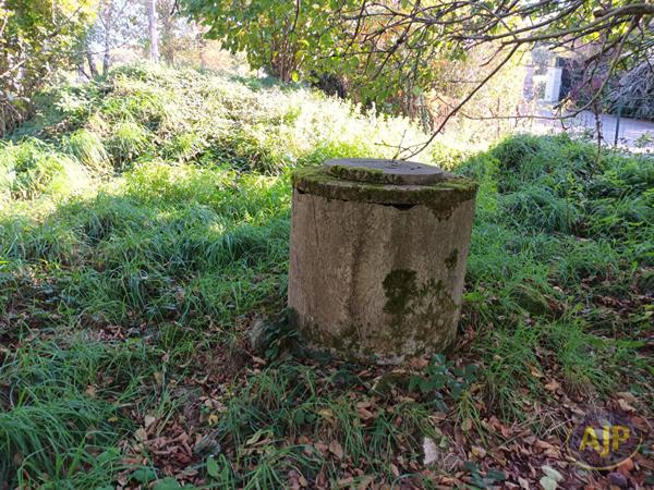 Vente terrain Questembert : 87 000 € - AJP Immobilier Questembert